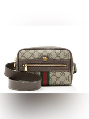 Gucci Ophidia Belt Bag GG Coated Canvas